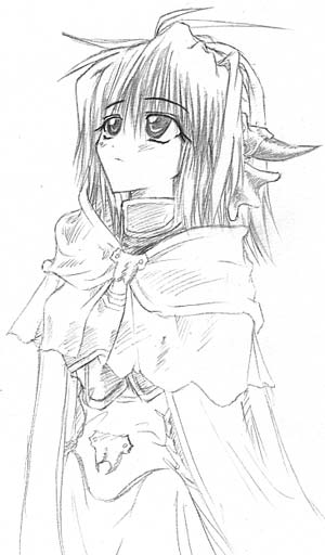 �Z���V�E�X����T